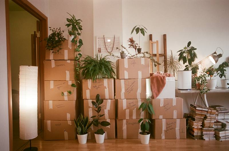 Cajas de mudanza empacadas y plantas listas para la mudanza
